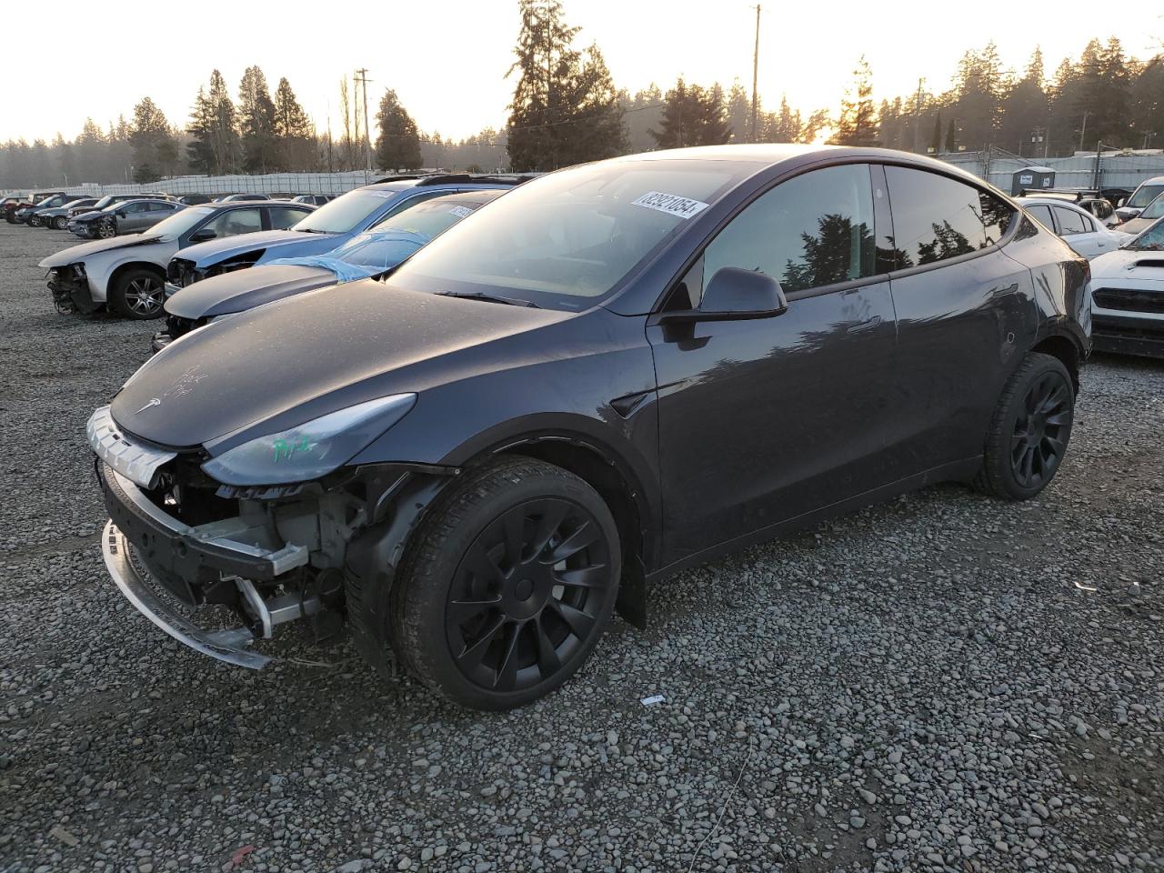 2024 TESLA MODEL Y  VIN:7SAYGAEE0RF162060