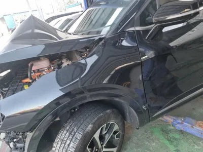 2021 Kia Sportage KNAPX81GBNK006222 VIN:KNAPX81GBNK006222