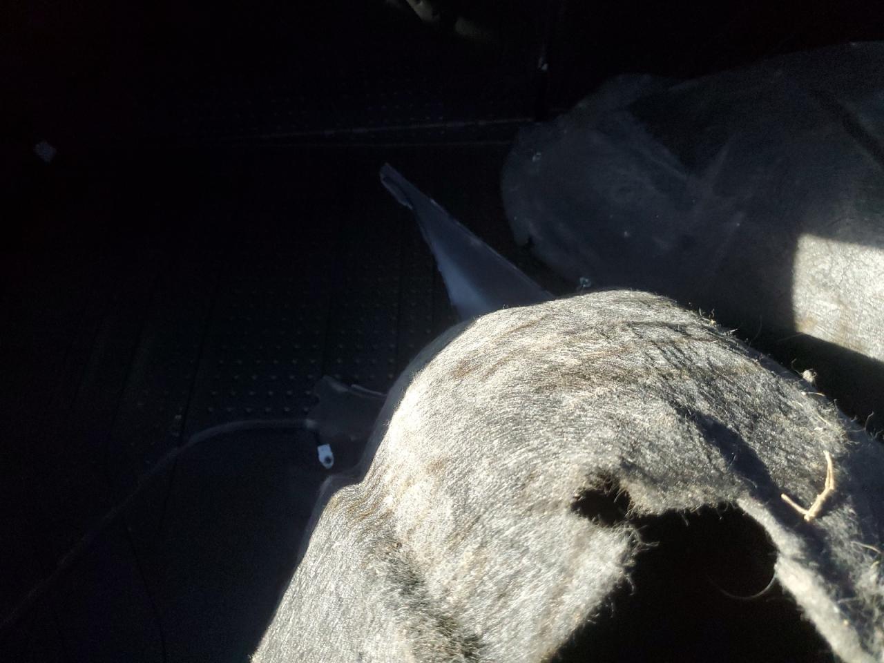 2023 CHEVROLET BLAZER 2LT VIN:3GNKBHR44RS173122