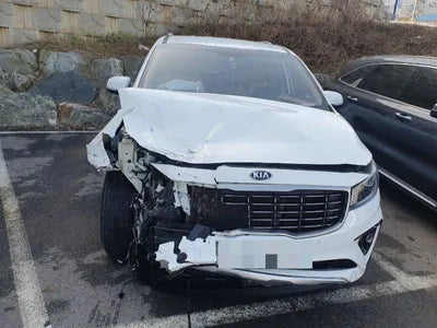 2019 Kia Carnival KNAMB81ABKS556683 VIN:KNAMB81ABKS556683
