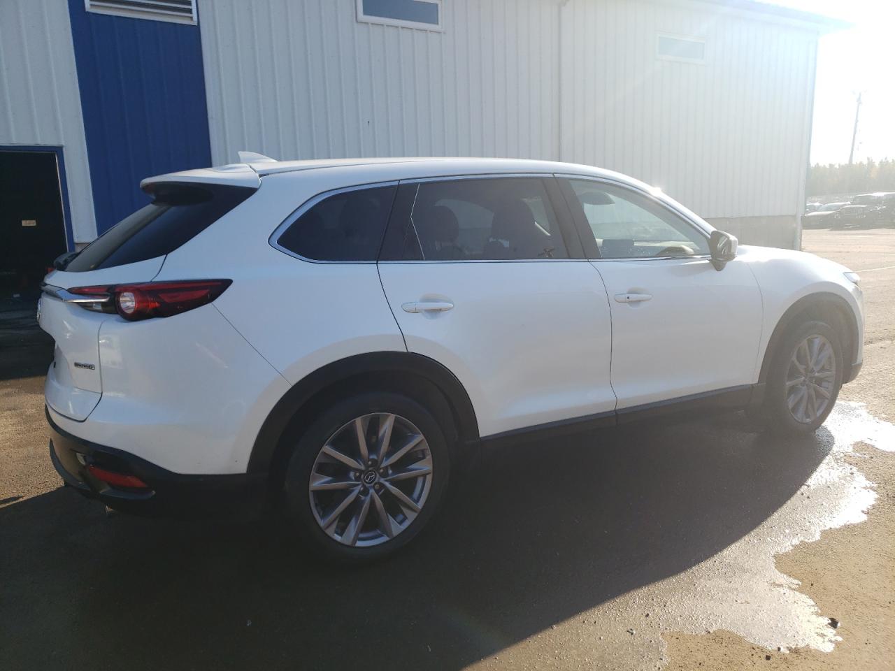 2023 MAZDA CX-9 TOURING VIN:JM3TCBCY6P0630317