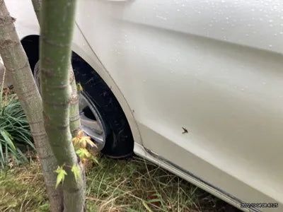 2019 Mercedes-Benz C 220 VIN: