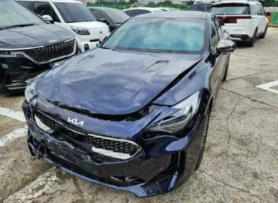 2022 Kia Stinger KNAE551CDNS117023 VIN:KNAE551CDNS117023