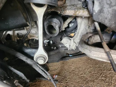 2021 Audi 50 WAUZZZF88MN005564 VIN:WAUZZZF88MN005564