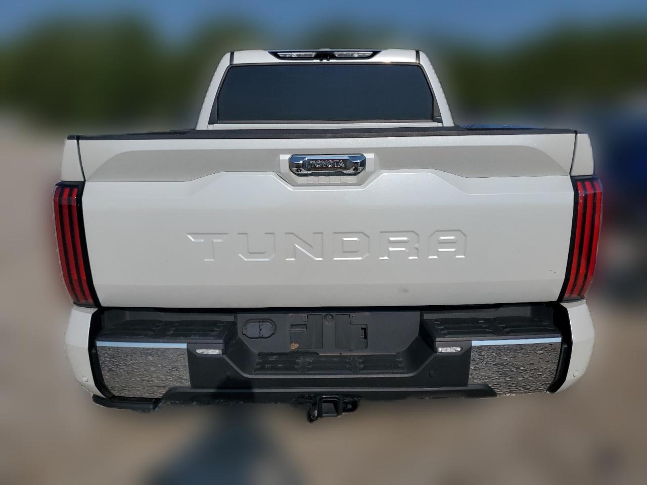 2022 TOYOTA TUNDRA CREWMAX PLATINUM VIN:5TFMA5AB5NX006368