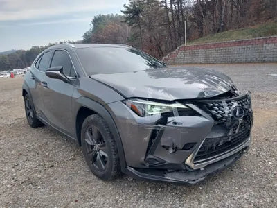 2019 Lexus UX 250 JTHY6JBHXK2026749 VIN:JTHY6JBHXK2026749
