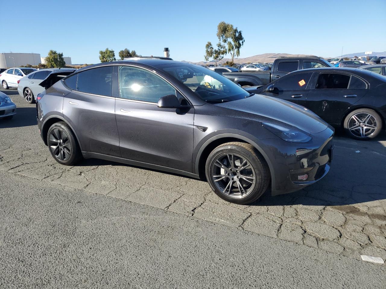 2024 TESLA MODEL Y  VIN:7SAYGDED7RF162890