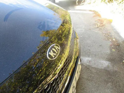 2018 Kia K5 KNAGV412BJA224606 VIN:KNAGV412BJA224606
