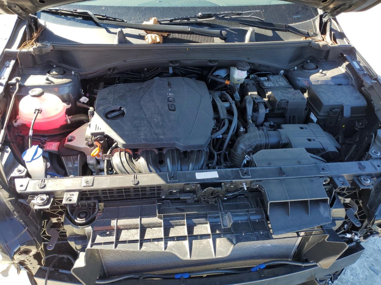 2024 KIA SPORTAGE X LINE VIN:5XYK6CDF6RG198985