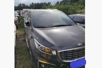 2018 Kia Carnival KNAMC81ABKS480119 VIN:KNAMC81ABKS480119