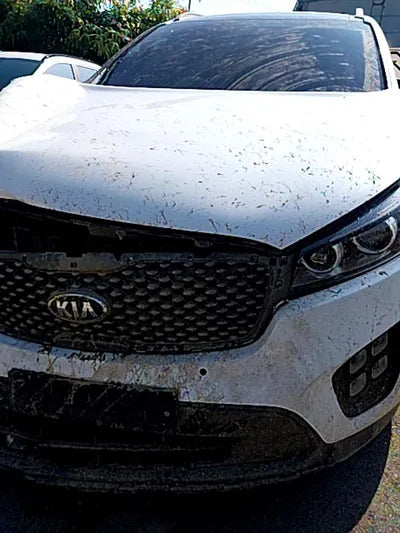 2016 Kia Sorento VIN: