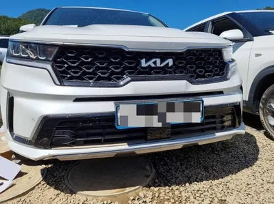 2022 Kia Sorento KNARF81FGNA161865 VIN:KNARF81FGNA161865
