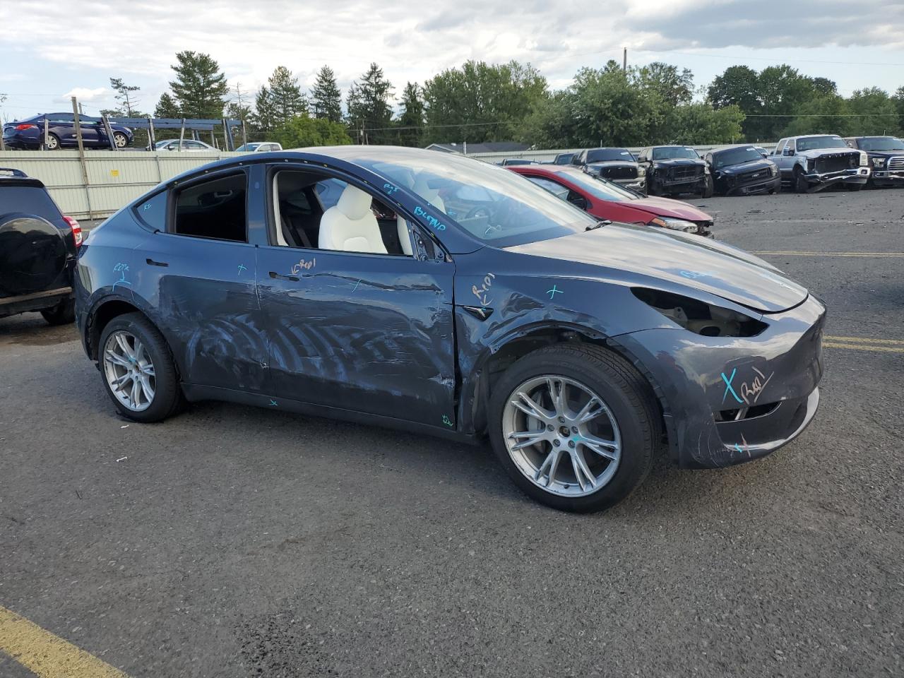 2023 TESLA MODEL Y  VIN:7SAYGDEE0PF880903