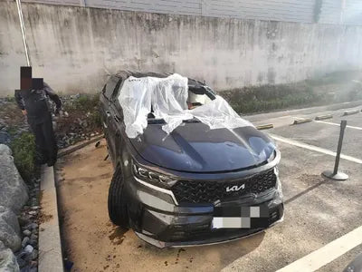 2023 Kia Sorento KNARL81GBPA179984 VIN:KNARL81GBPA179984