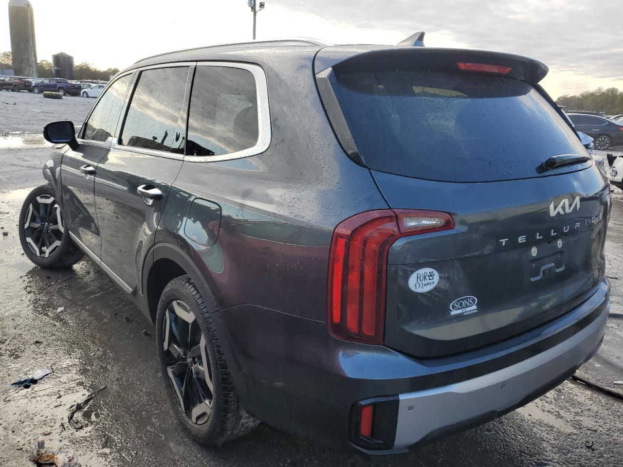 2024 KIA TELLURIDE S VIN:5XYP6DGC5RG474747