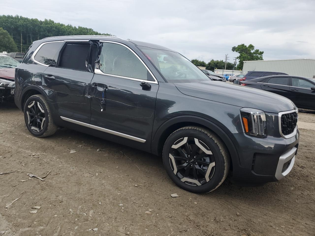2024 KIA TELLURIDE EX VIN:5XYP3DGC8RG507281