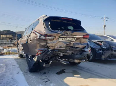 2020 Hyundai Santa FE KMHS381BBLU215576 VIN:KMHS381BBLU215576