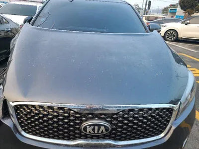 2016 Kia Sorento KNAPS81ADGA269800 VIN:KNAPS81ADGA269800