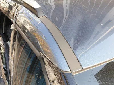 2021 Kia Carnival KNANC813BMS119768 VIN:KNANC813BMS119768