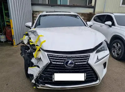 2019 Lexus NX 300 JTJBJRBZ9K2119465 VIN:JTJBJRBZ9K2119465