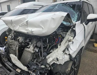 2021 Kia Carnival KNANC81BBMS017347 VIN:KNANC81BBMS017347
