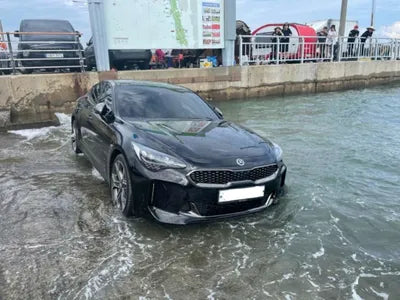 2020 Kia Stinger KNAE351ABLS084289 VIN:KNAE351ABLS084289