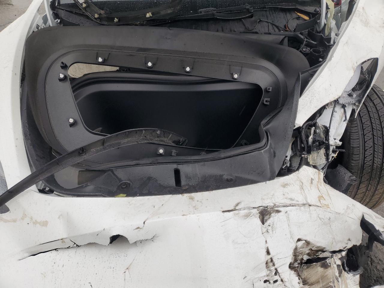 2024 TESLA MODEL Y  VIN:7SAYGDEE8RF167265