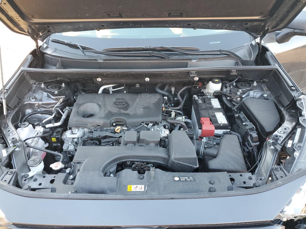 2024 TOYOTA RAV4 XLE VIN:2T3P1RFV4RC437108