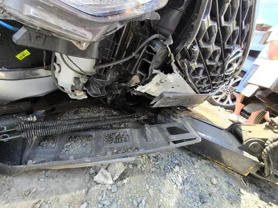 2019 Hyundai Santa FE KMHS381BBKU156411 VIN:KMHS381BBKU156411