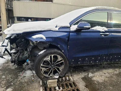 2019 Hyundai Santa FE KMHS381CDKU156880 VIN:KMHS381CDKU156880