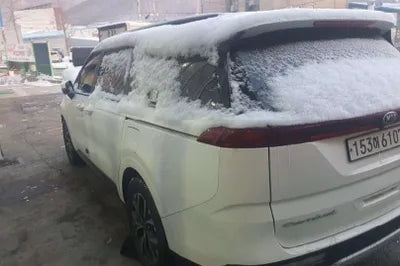 2021 Kia Carnival KNANB81BBMS037266 VIN:KNANB81BBMS037266