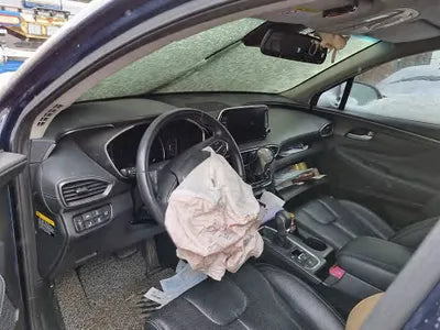2019 Hyundai Santa FE KMHS381CDKU156880 VIN:KMHS381CDKU156880