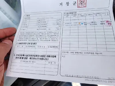 2019 Kia Sorento 315KMKNAPG81BBKA5 VIN:315KMKNAPG81BBKA5