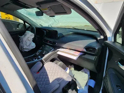 2020 Hyundai Santa FE KMHS381HGMU323976 VIN:KMHS381HGMU323976