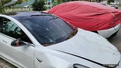 2020 Tesla Model 3 5YJ3E1EB0LF725098 VIN:5YJ3E1EB0LF725098