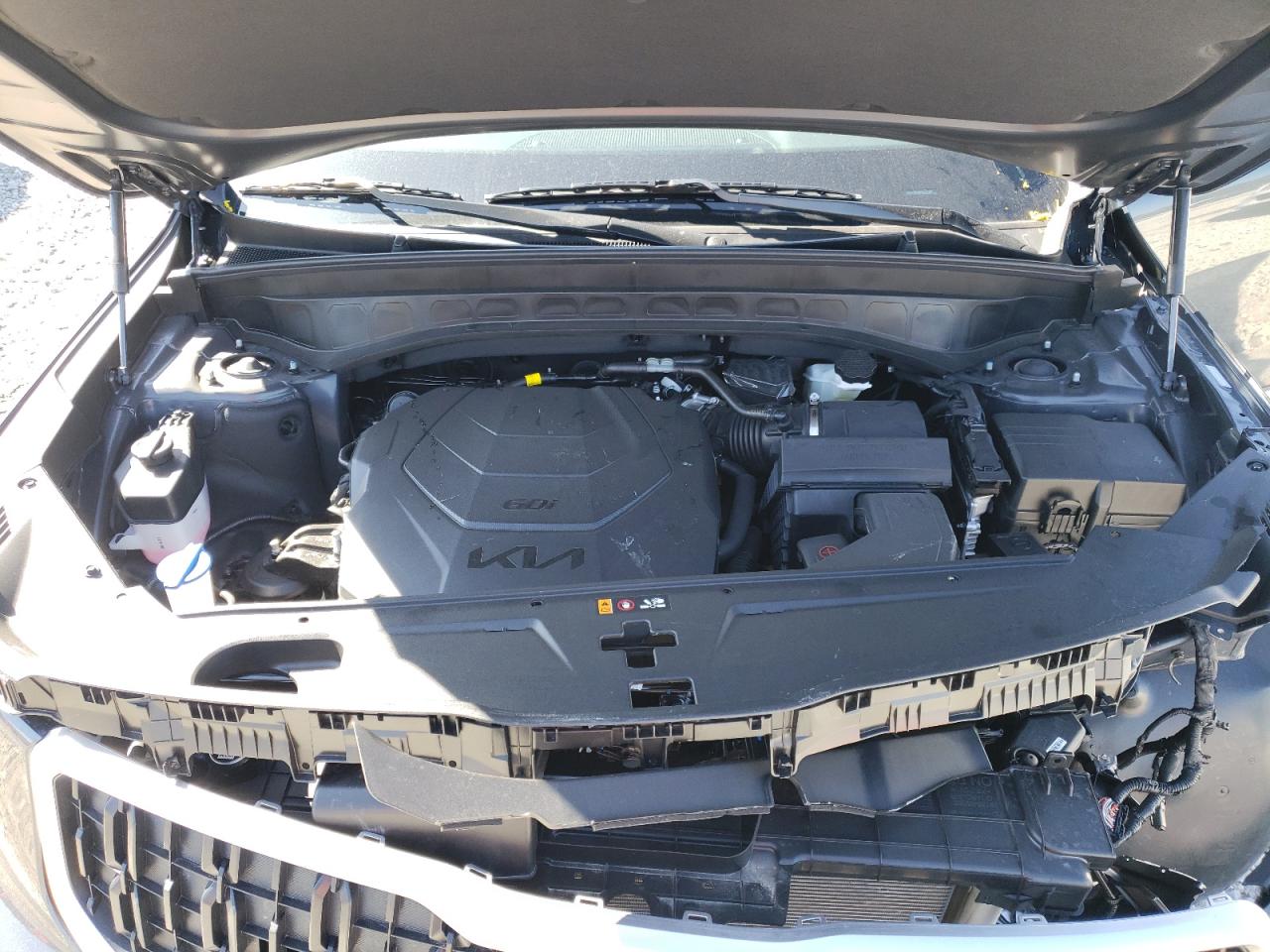 2024 KIA TELLURIDE EX VIN:5XYP3DGC8RG556240