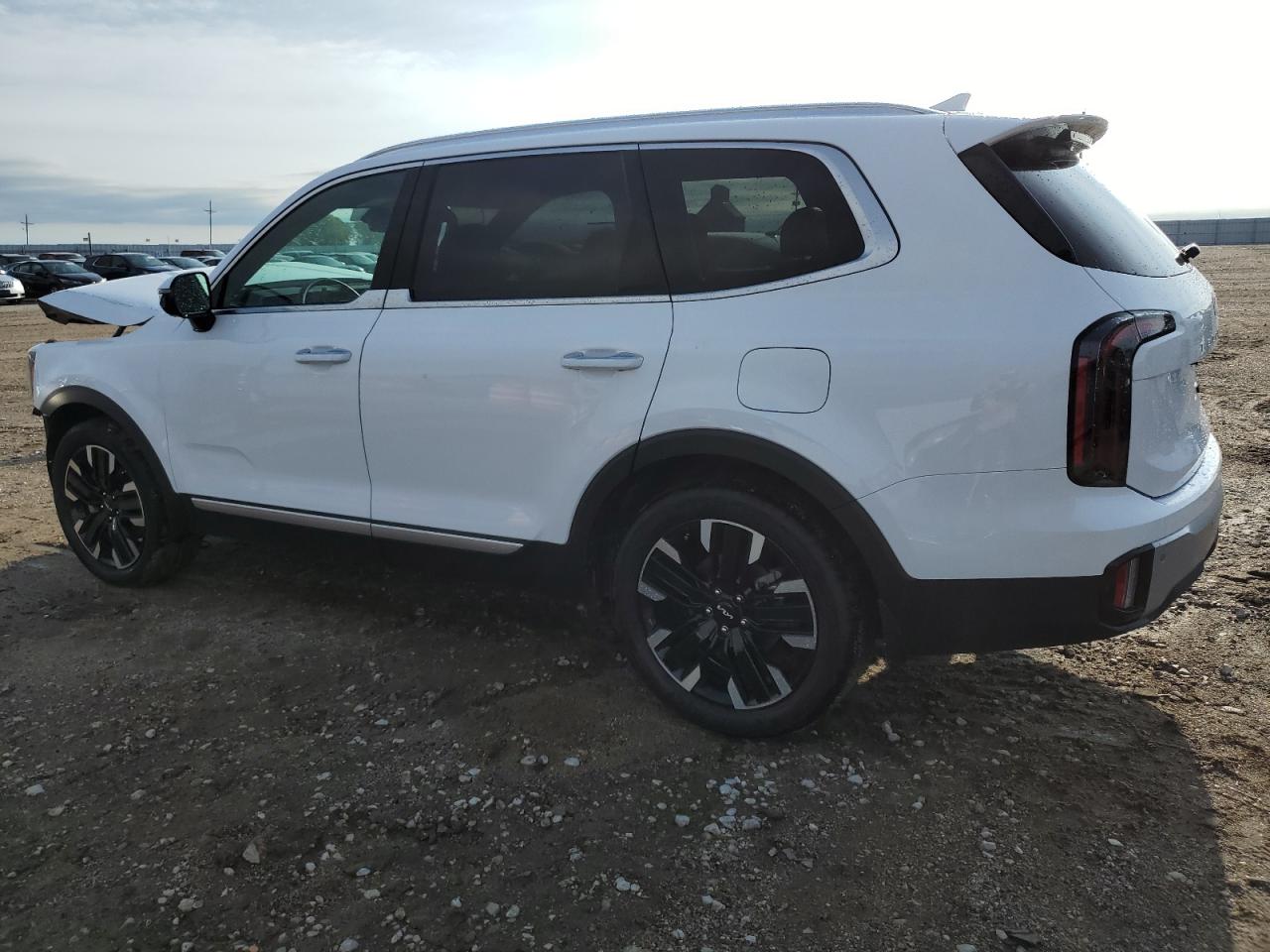 2024 KIA TELLURIDE SX VIN:5XYP5DGCXRG502822