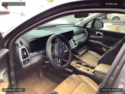 2020 Kia Sorento KNARL81BGMA055224 VIN:KNARL81BGMA055224