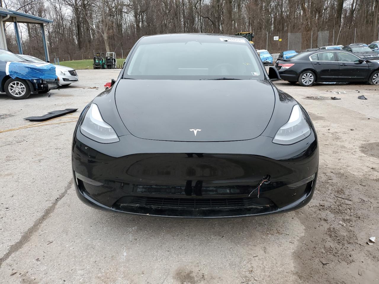 2023 TESLA MODEL Y  VIN:7SAYGAEE7PF786600