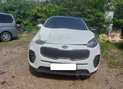 2018 Kia Sportage KNAP6815GJK410569 VIN:KNAP6815GJK410569