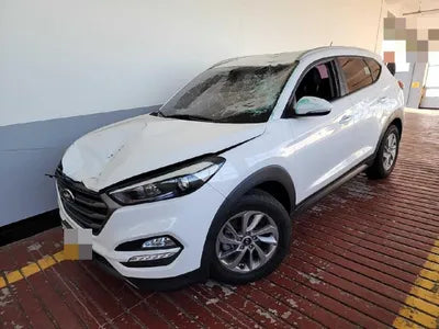 2016 Hyundai Tucson KMHJ381ADGU204673 VIN:KMHJ381ADGU204673