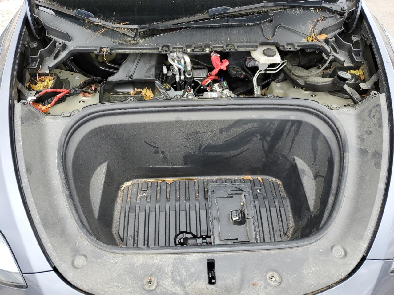 2023 TESLA MODEL Y  VIN:7SAYGDEE4PA161313
