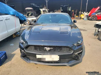 2019 Ford Mustang VIN: