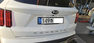 2020 Kia Sorento KNARH81BGMA032689 VIN:KNARH81BGMA032689