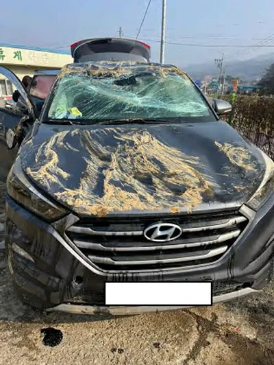 2017 Hyundai Tucson KMHJ281ADHU267920 VIN:KMHJ281ADHU267920