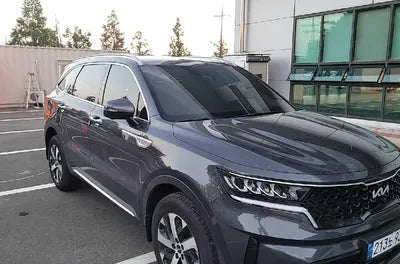 2022 Kia Sorento KNARF81FGNA161865 VIN:KNARF81FGNA161865