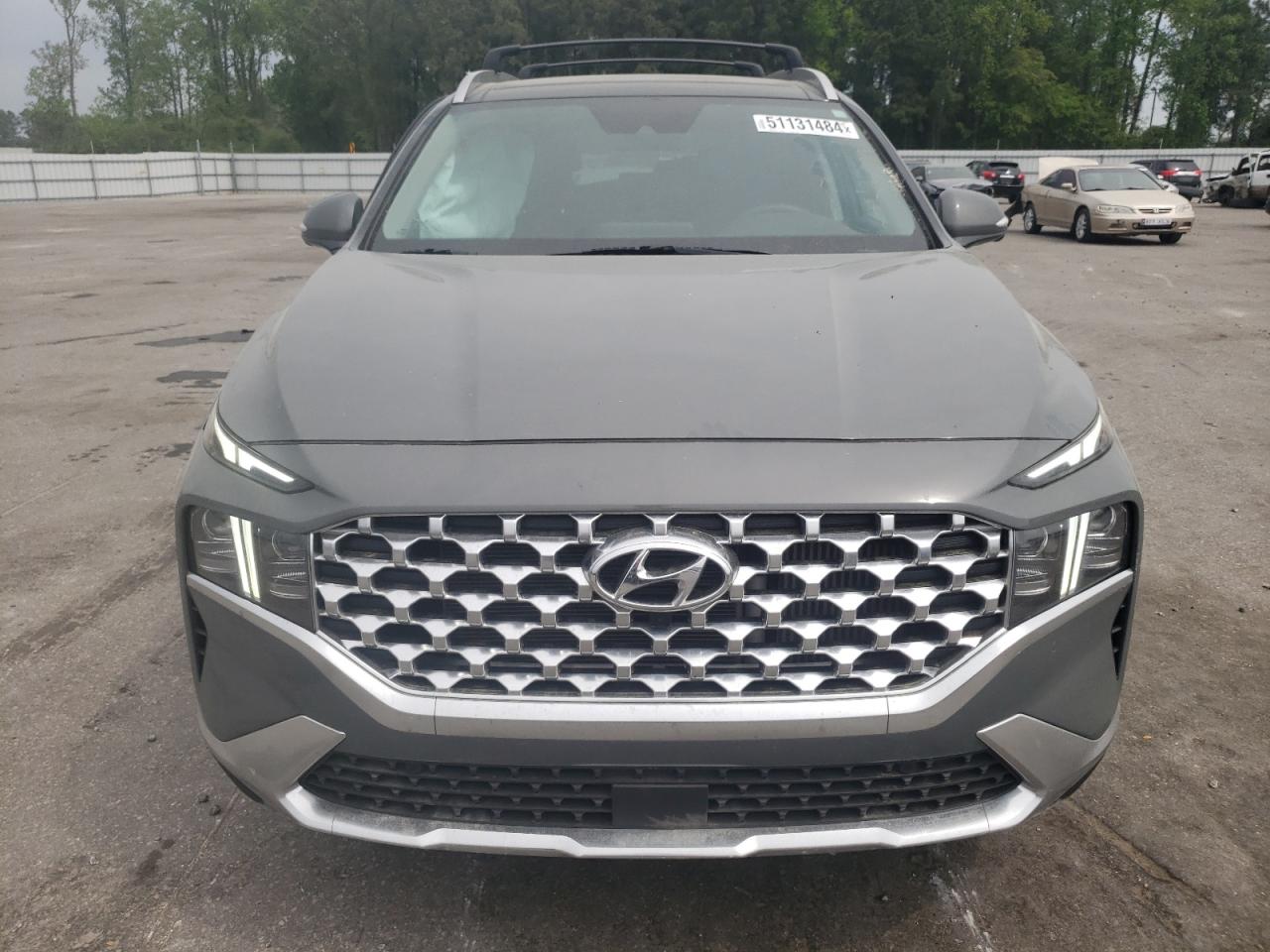 2023 HYUNDAI SANTA FE LIMITED VIN:5NMS44AL5PH491446