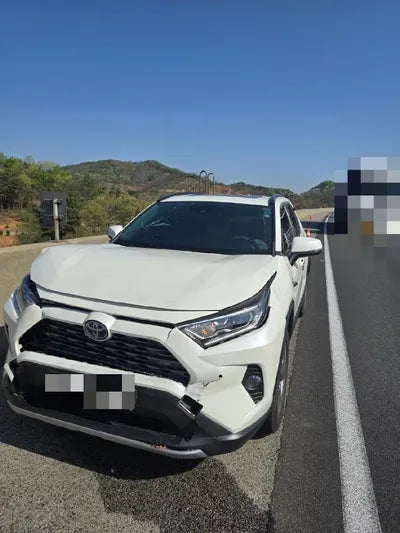 2019 Toyota RAV4 VIN: