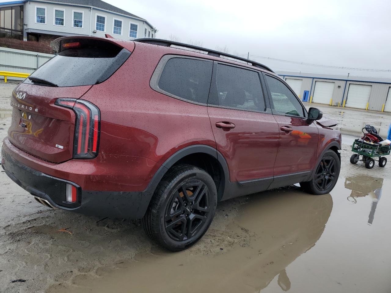 2024 KIA TELLURIDE EX VIN:5XYP3DGC7RG546573