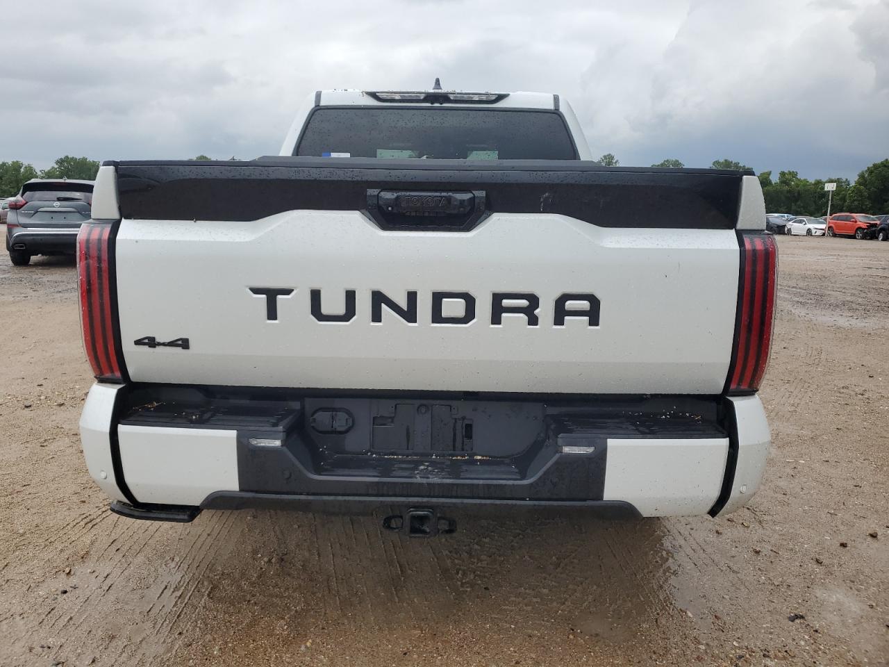 2024 TOYOTA TUNDRA CREWMAX PLATINUM VIN:5TFNC5DB8RX044452